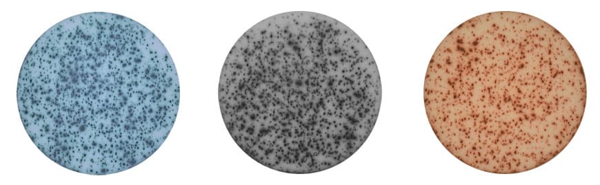 ELISpot developed with different substrates. From left to right: TMB, BCIP/NBT-plus, and AEC