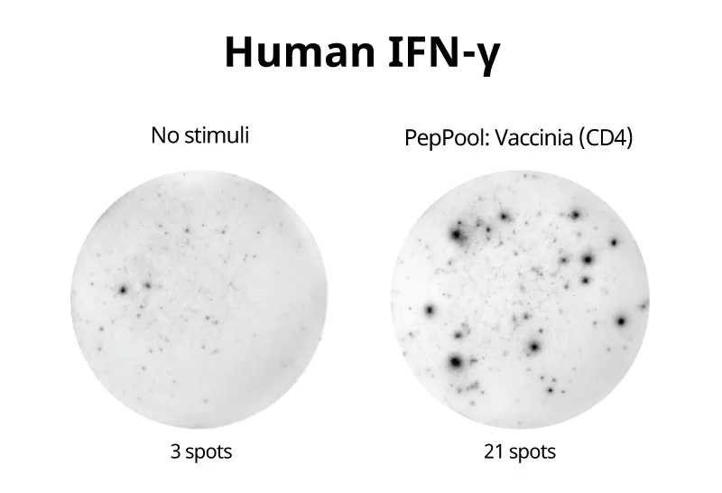vaccinated, PepPool Vaccinia CD4