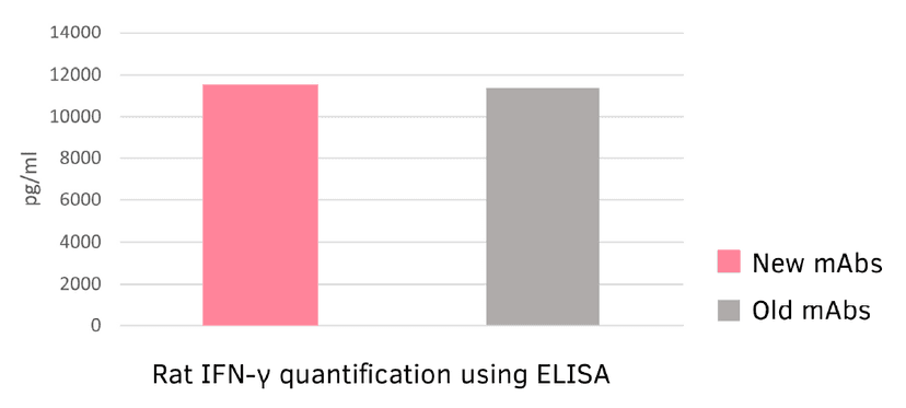 rat ifng mAb replacement - comparison in ELISA 