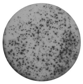 Monkey Granzyme B ELISpot (ALP) 