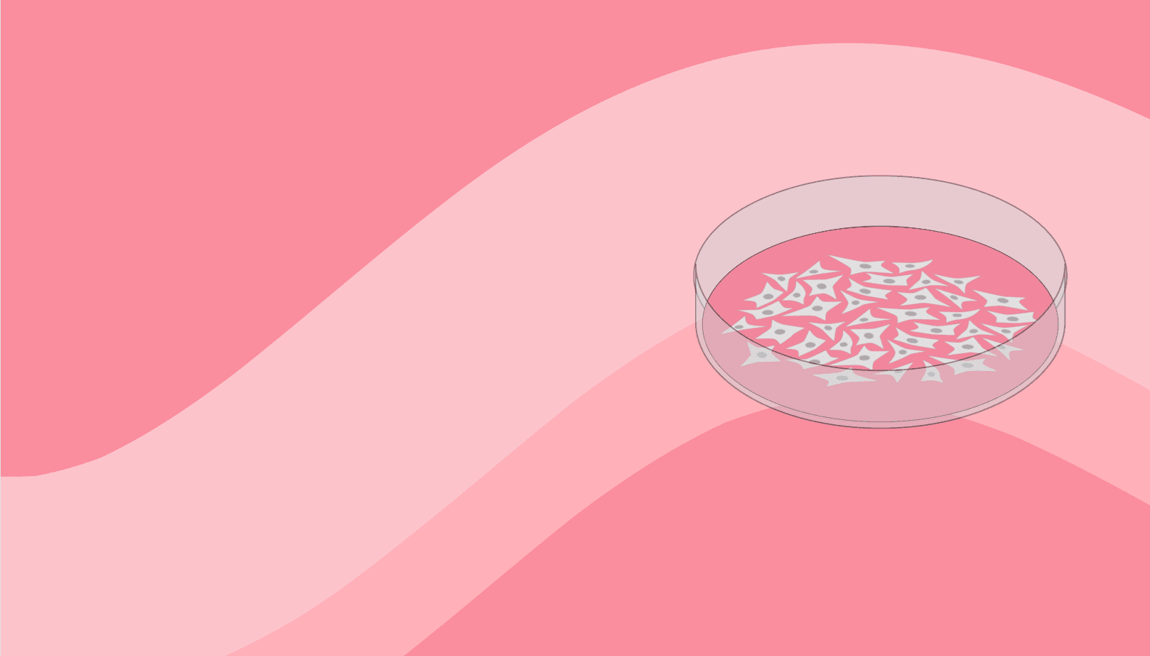 Blog header image