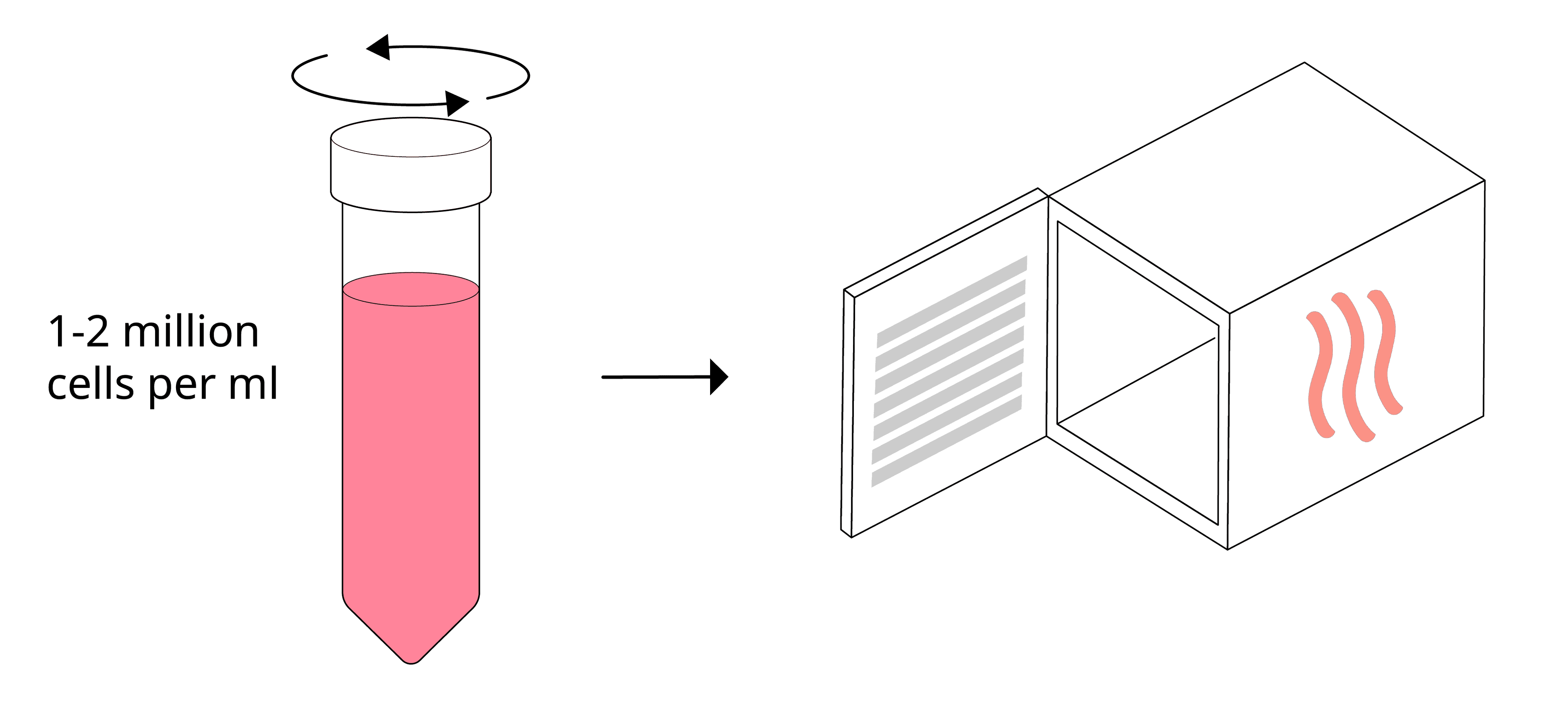 Why resting cells is essential for accurate ELISpot and FluoroSpot Mabtech