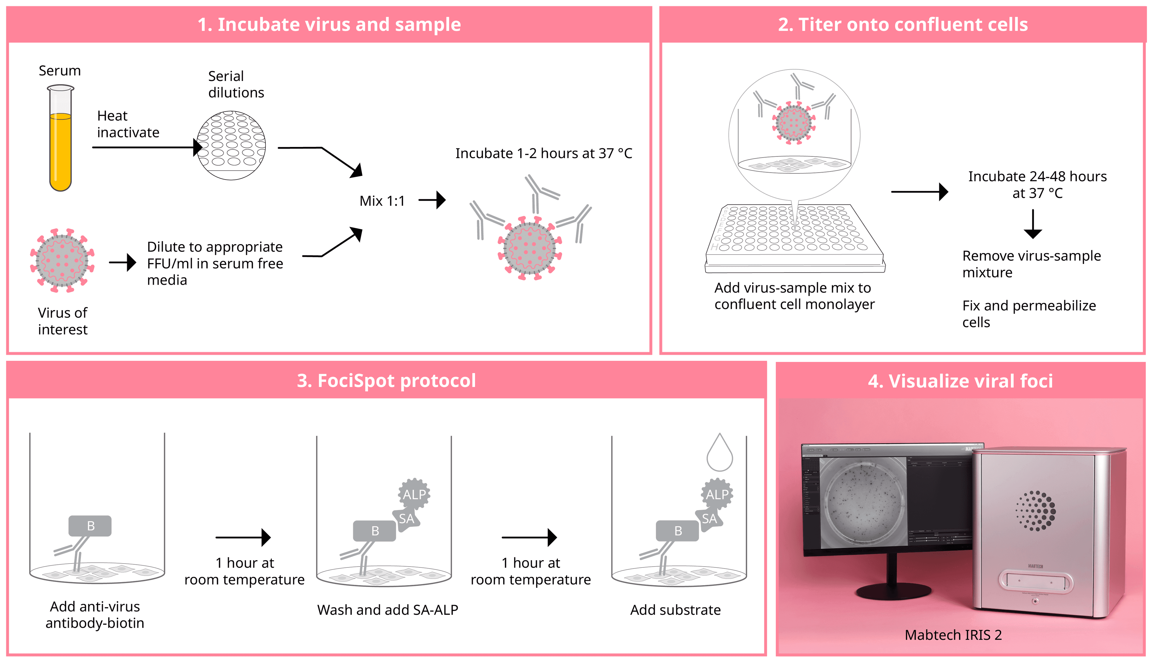 FociSpot neutralization assay (FRNT) step-by-step