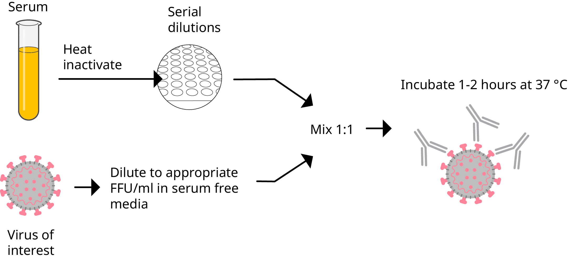 FociSpot step 1