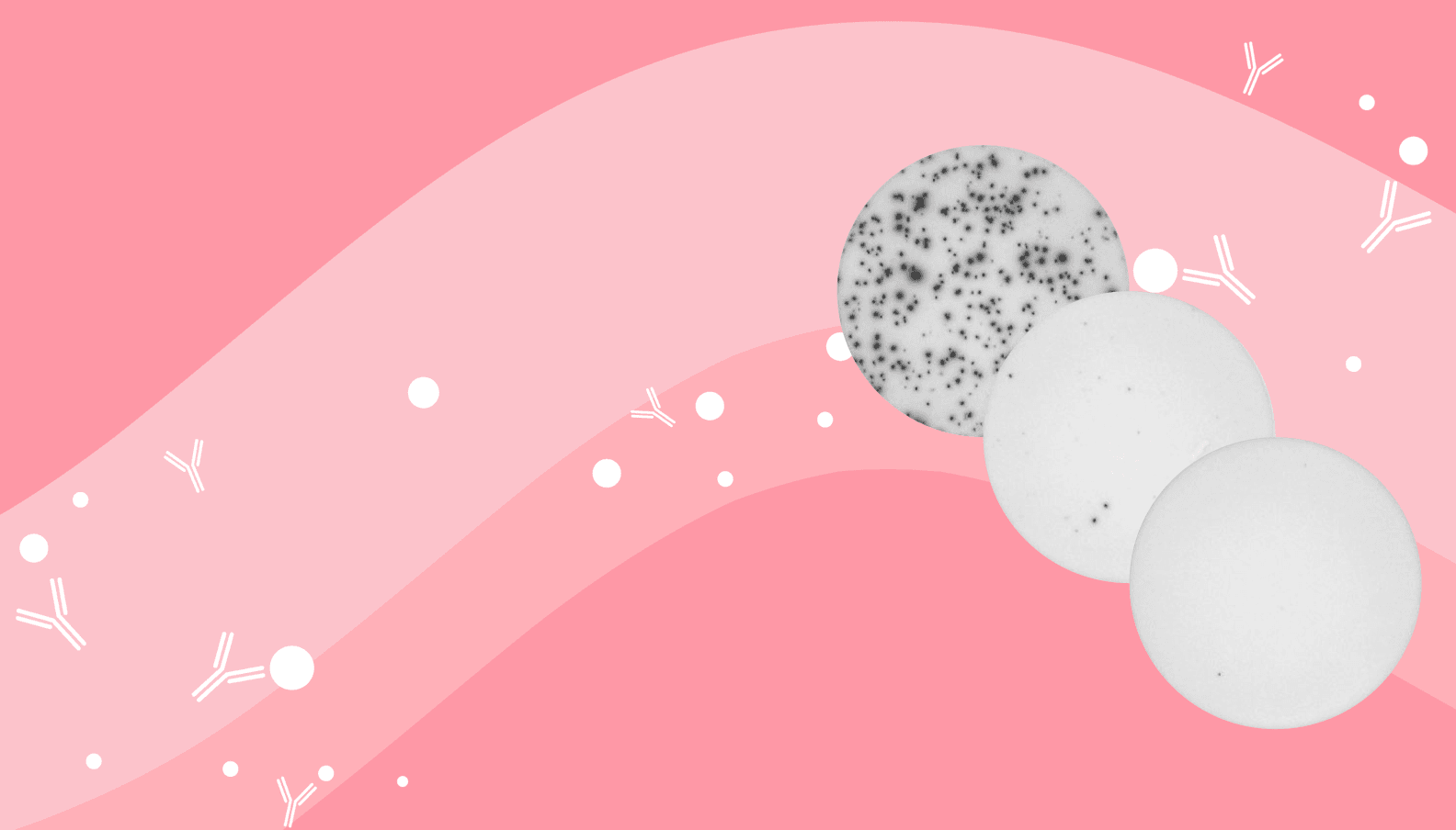 Blog header image