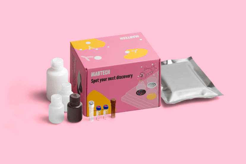 Image of the EYRAplex kit and all its components
