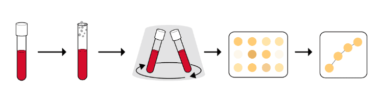 Interferon-gamma release assay