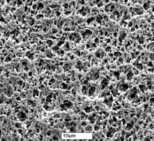 PVDF membrane in close-up