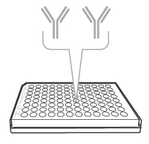 Coat the plate with capture antibody