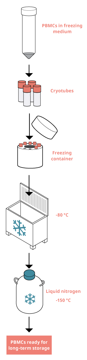 Freezing PBMCs