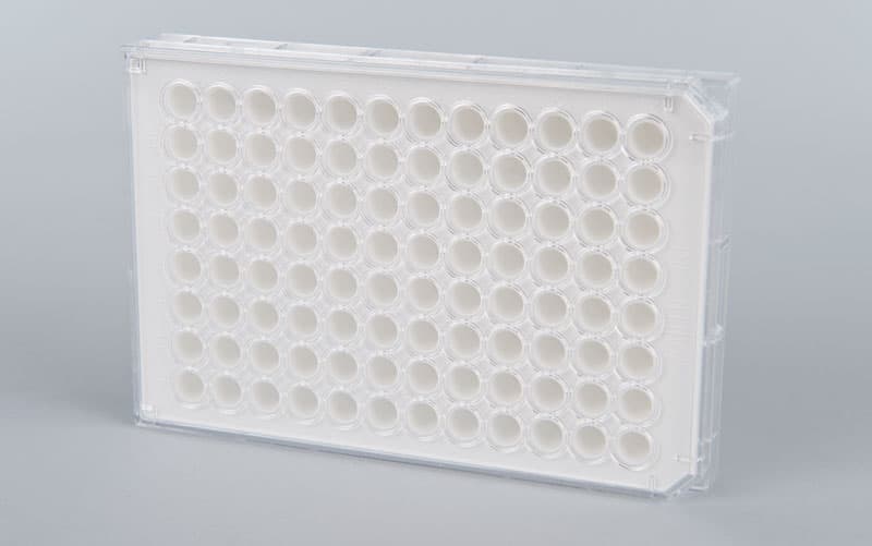 ELISpot PVDF membrane plate, without underdrain, ELIIP